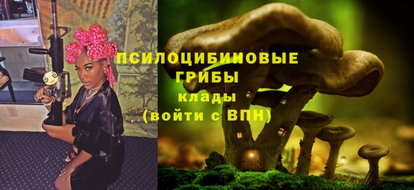 дурь Алексеевка
