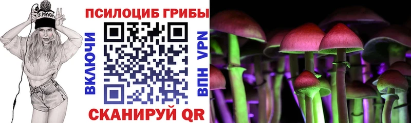 Галлюциногенные грибы Psilocybe  Елец 