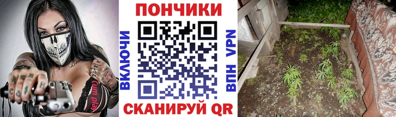 купить наркоту  Елец  Бошки марихуана AK-47 